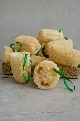 Picture of Plantuffa - From Plant + Loofah