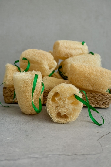 Picture of Plantuffa - From Plant&#xA0;&#x2B; Loofah