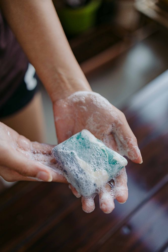 Green leaves representing sustainability Yoshi & Co